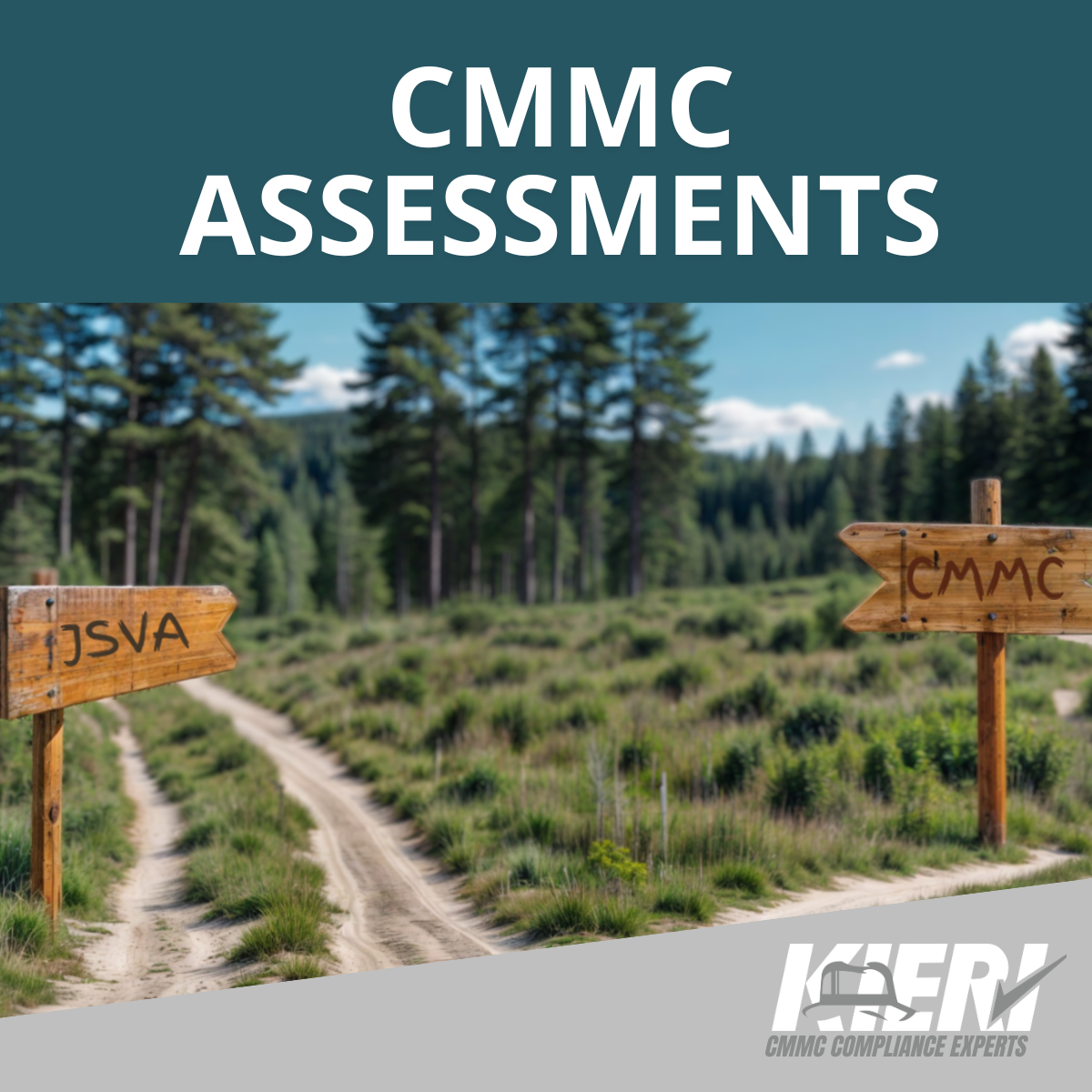CMMC Level 2 and 800-171 Assessments and Gap Analysis